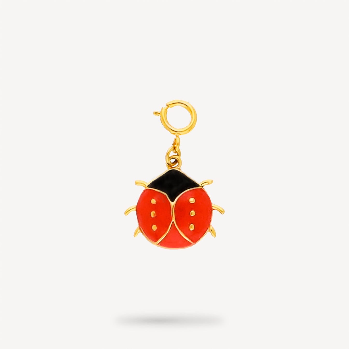 Lucky Bug Charm