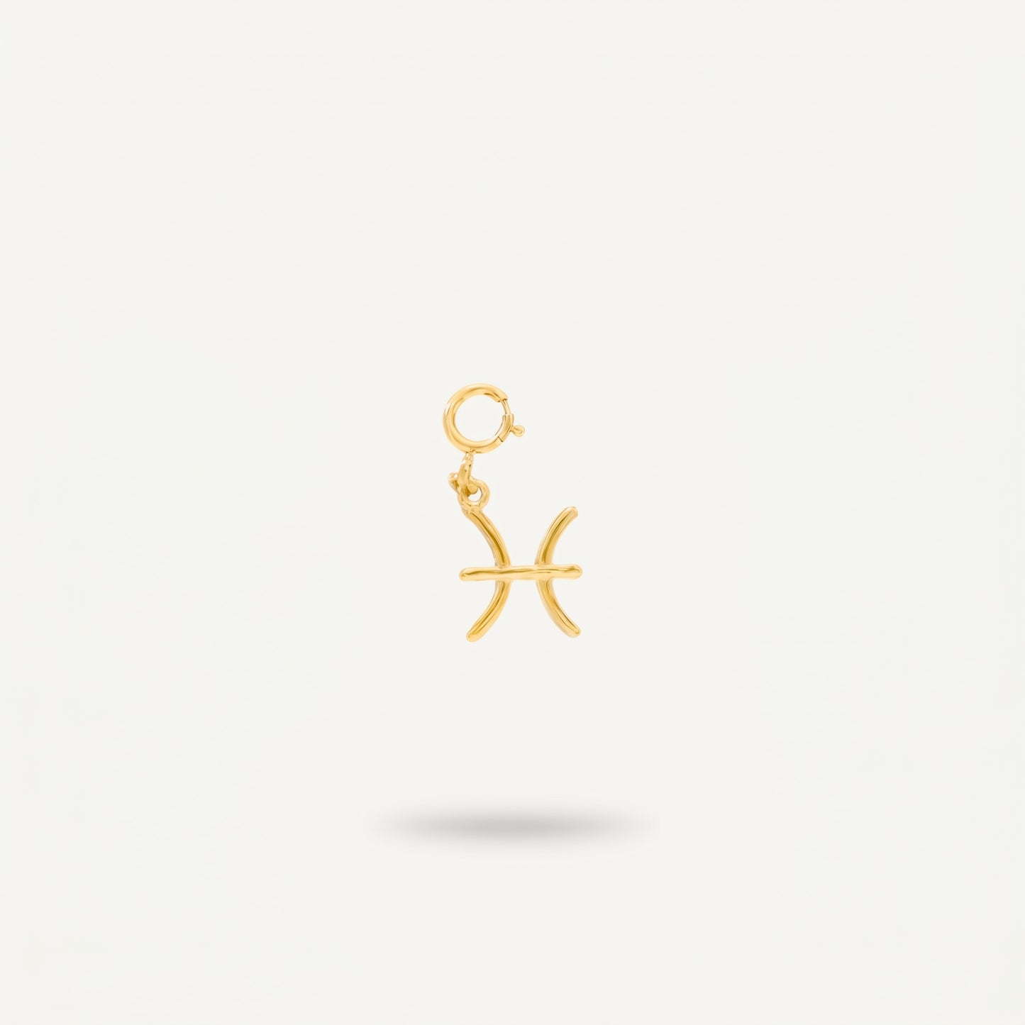 Pisces Charm