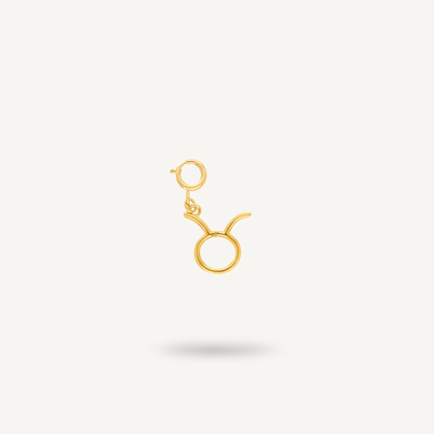 Taurus Charm