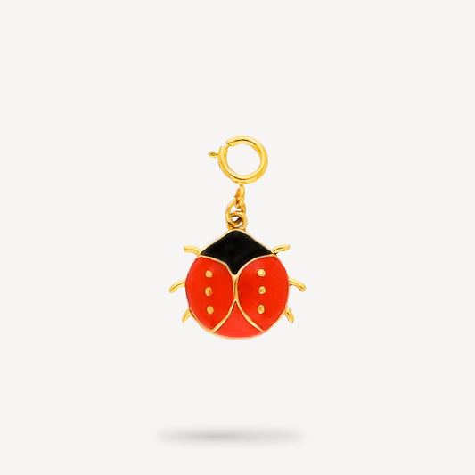 Lucky Bug Charm