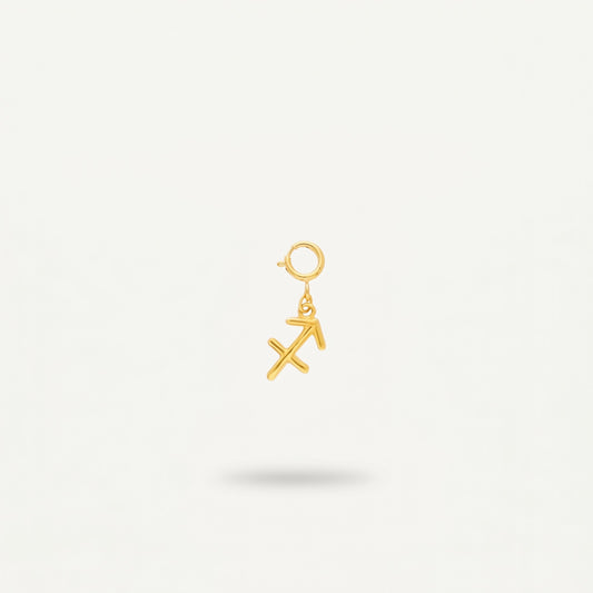 Sagittarius Charm